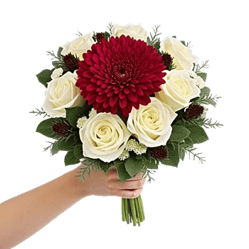 Crimson Rose Elegance