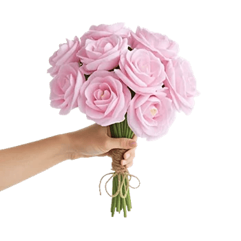 Pastel Pink Roses