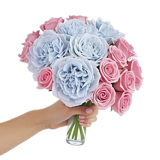 Serene Petal Harmony