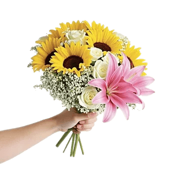 Twinkling Sunflower Dance