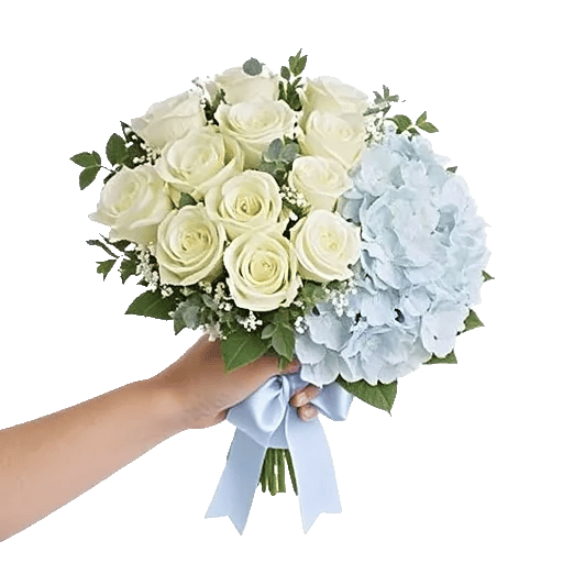 Serene Petal Harmony