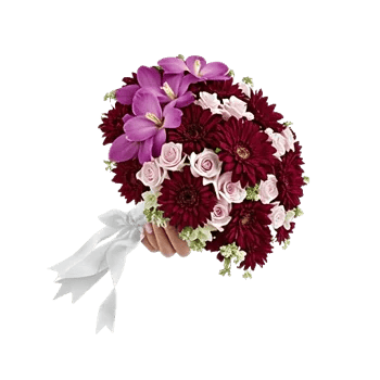 Orchid Bloom Cascade