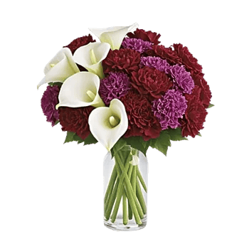 Elegant Calla Lilies