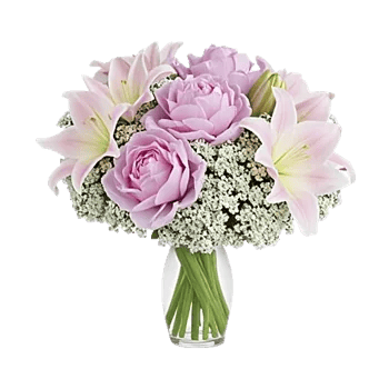 Peony Petal Harmony