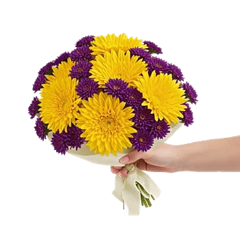 Golden Petal Harmony