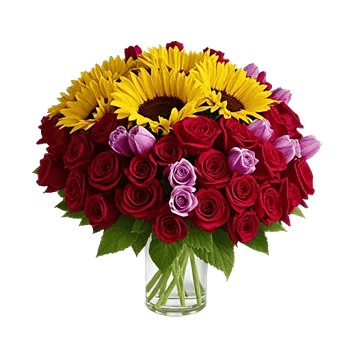 Radiant Rose Symphony