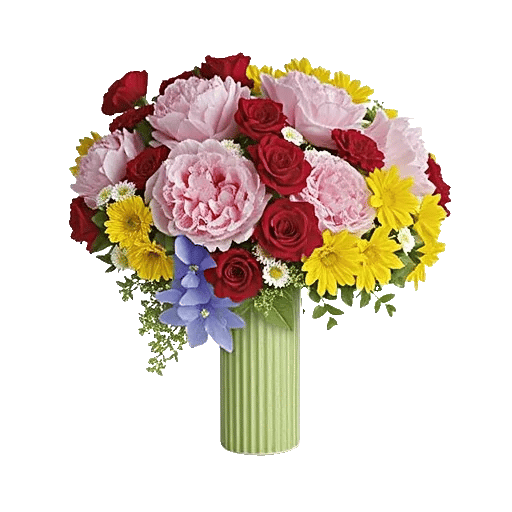 Petal Radiance Bliss