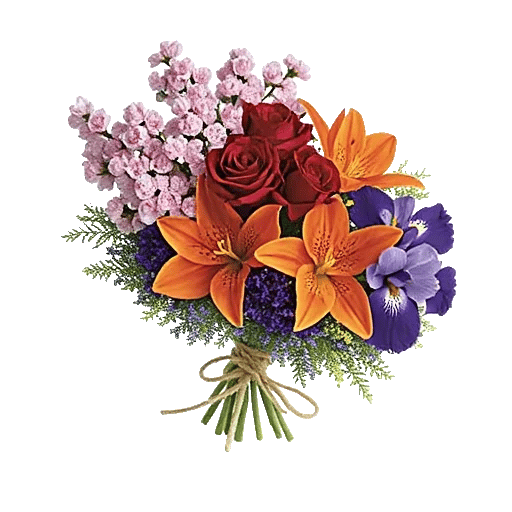 Blossom Breeze Harmony