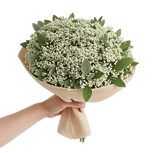 Ivory Garden Grace