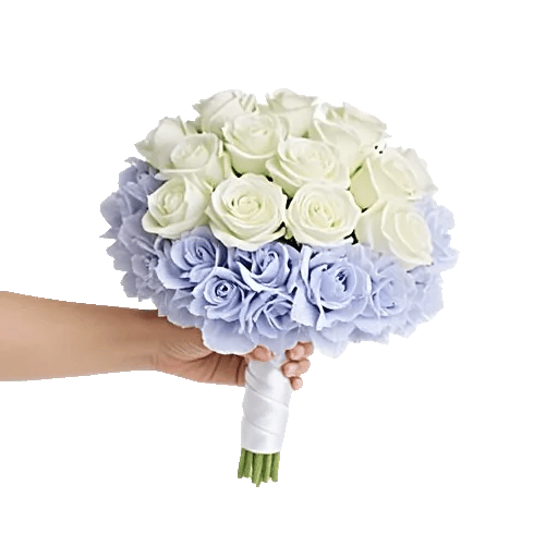 Serene Petal Harmony