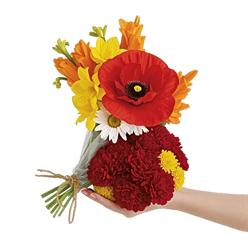 Petal Radiance Bliss