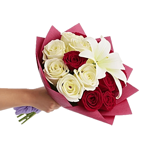 Crimson Rose Elegance