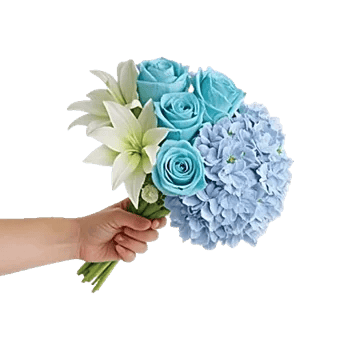 Serene Petal Harmony