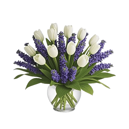 Velvet Tulip Display