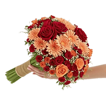 Crimson Rose Elegance
