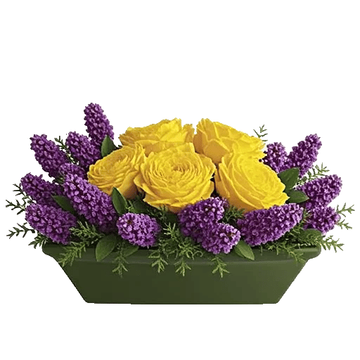 Delicate Petal Cascade