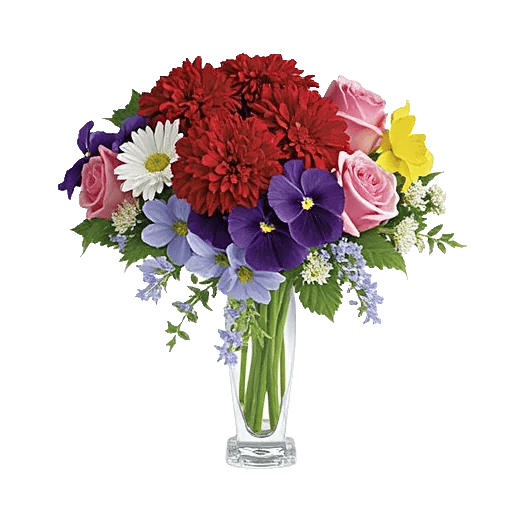 Petal Radiance Bliss