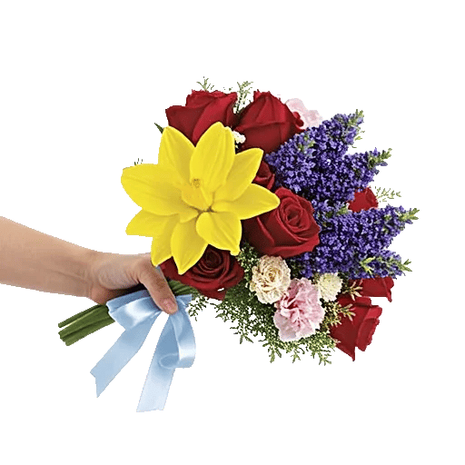 Blossom Harmony Display