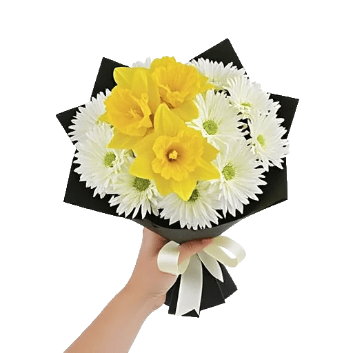 Blossom Harmony Display