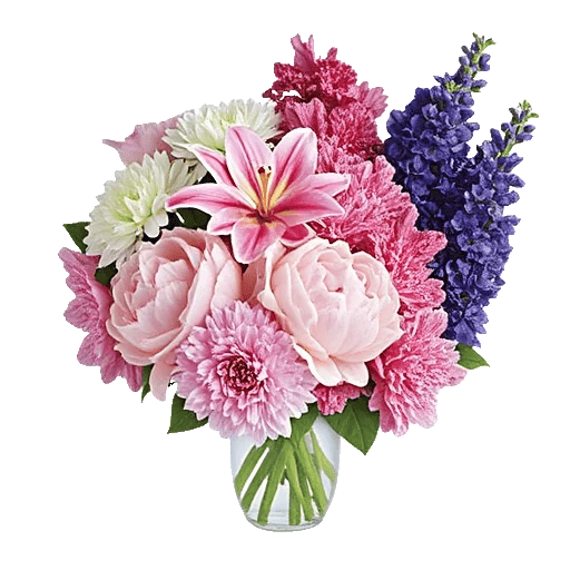 Petal Radiance Bliss