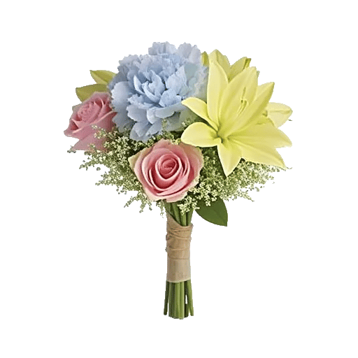 Blossom Petal Serenity