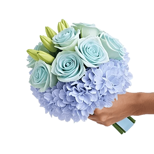 Serene Petal Harmony