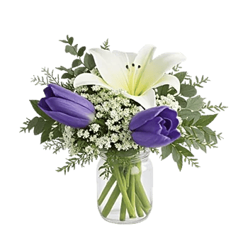 Velvet Tulip Display