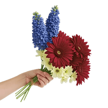 Serenity Blossom Grace