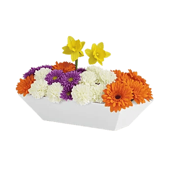 Delicate Petal Cascade