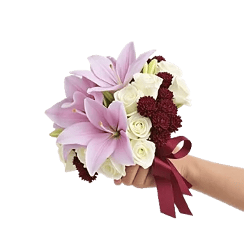 Blushing Rose Symphony