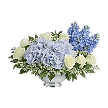 Sapphire Bloom Whisper