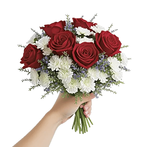 Crimson Rose Elegance