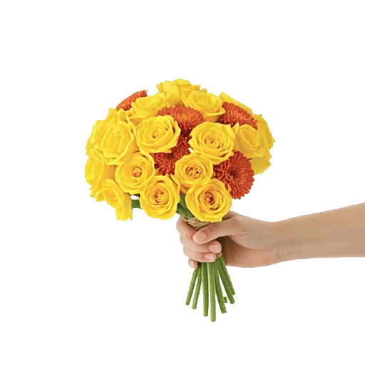 Delicate Petal Cascade