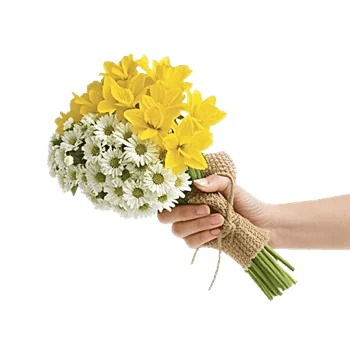 Blossom Harmony Display