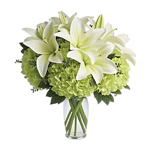 Ivory Blossom Radiance