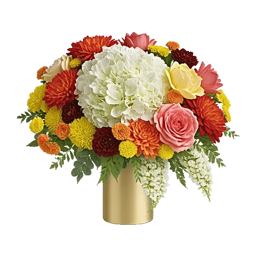 Petal Radiance Bliss