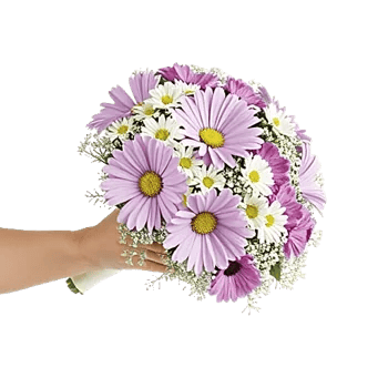 Blossom Petal Serenity