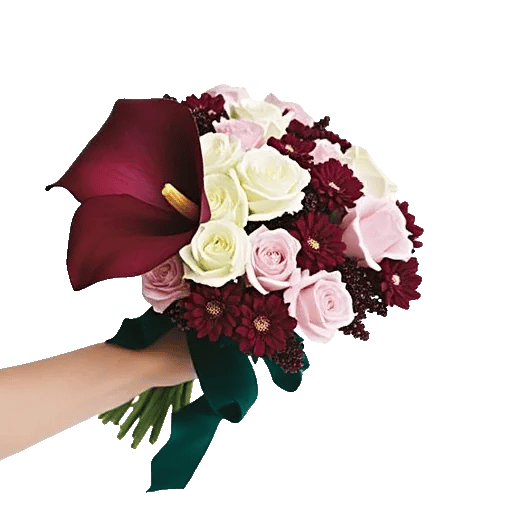 Elegant Calla Lilies