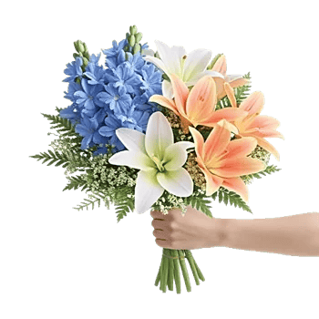 Blossom Petal Serenity