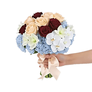 Blushing Rose Symphony