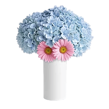 Serene Petal Harmony