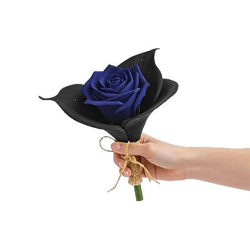 Elegant Blue Roses