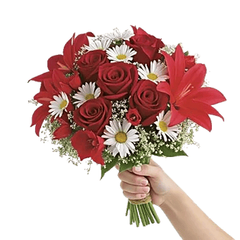 Crimson Rose Elegance