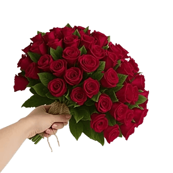 Crimson Rose Elegance