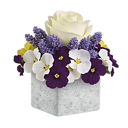 Delicate Petal Cascade