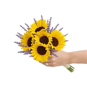 Twinkling Sunflower Dance