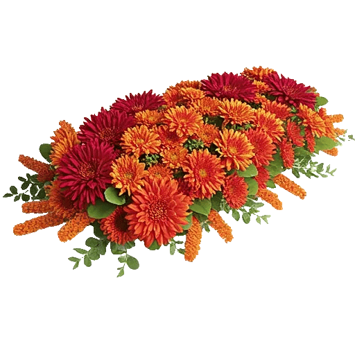 Radiant Bloom Cascade