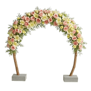 Ivory Blossom Radiance