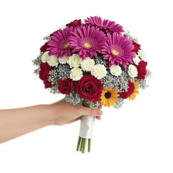 Blushing Rose Symphony