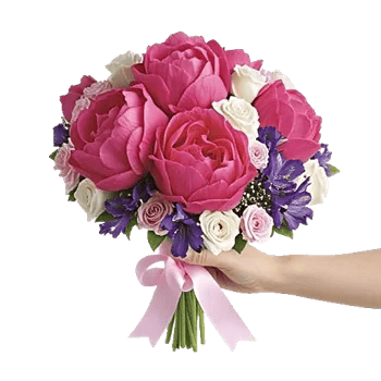 Peony Petal Harmony